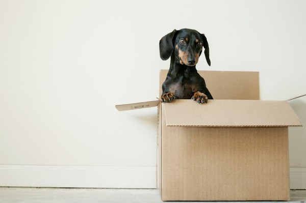 Tips for Those Moving Away for College 1 img