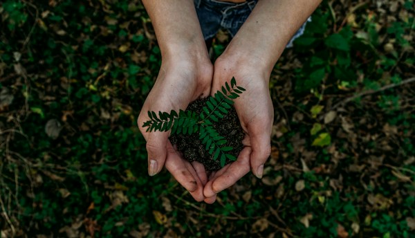 The Benefits of Sustainable Packaging for Businesses 1 img